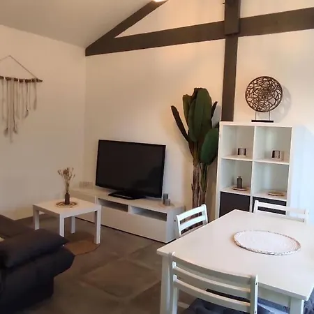 Vakantiehuis Maison Climatisee Proche Du Sanguinet