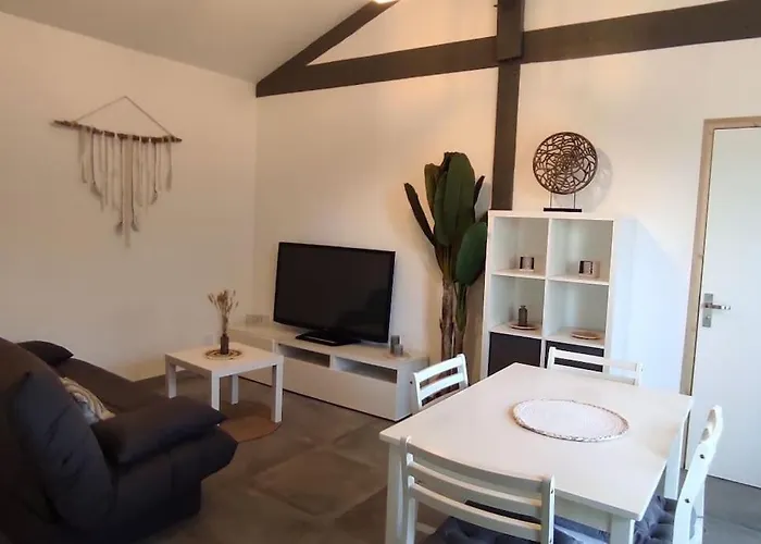 Vakantiehuis Maison Climatisee Proche Du Sanguinet